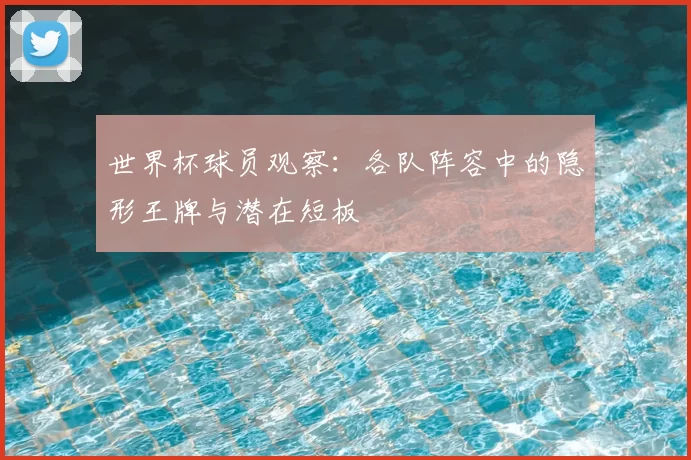 世界杯球员观察：各队阵容中的隐形王牌与潜在短板