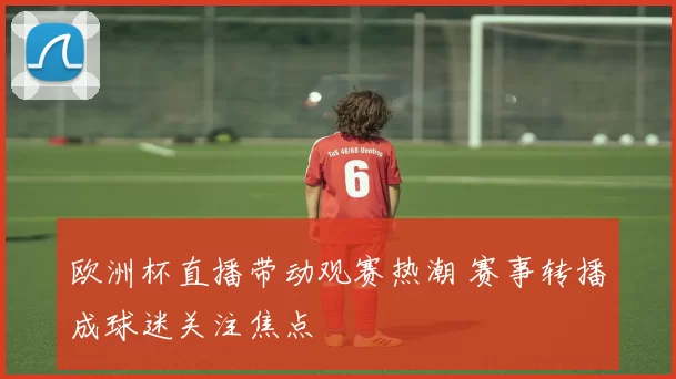 欧洲杯直播带动观赛热潮 赛事转播成球迷关注焦点