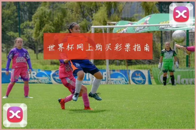 世界杯网上购买彩票指南