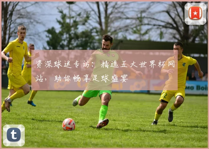 资深球迷专访：精选五大世界杯网站，助你畅享足球盛宴