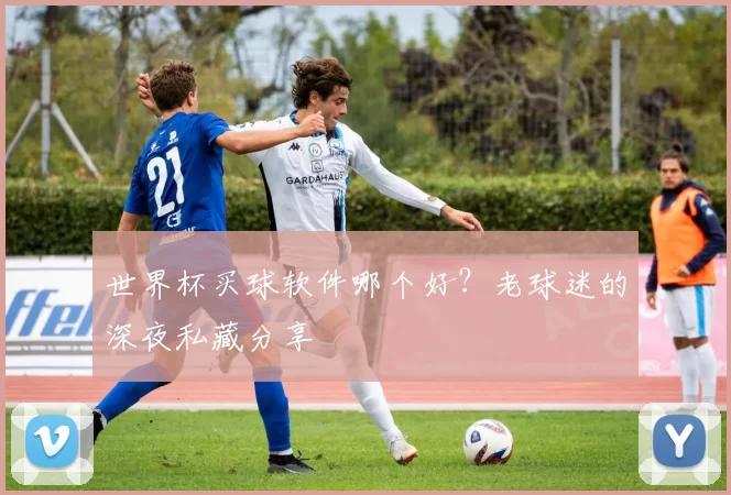 世界杯买球软件哪个好？老球迷的深夜私藏分享