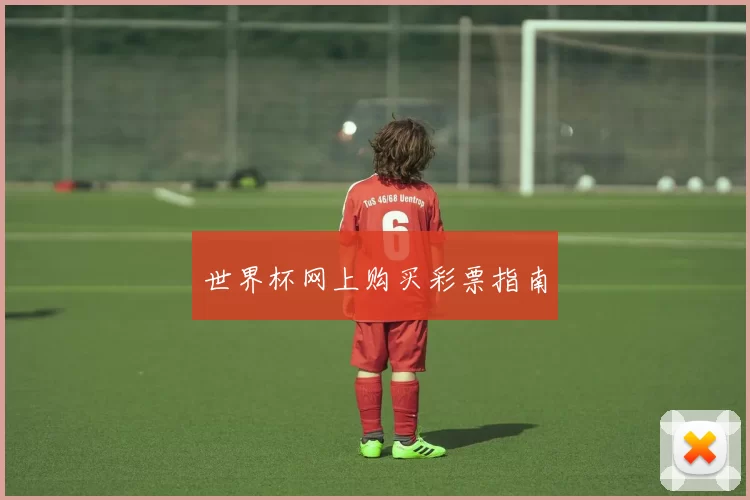 世界杯网上购买彩票指南