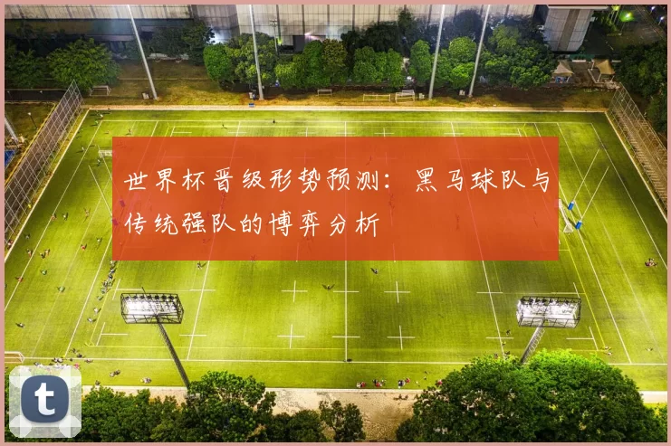世界杯晋级形势预测：黑马球队与传统强队的博弈分析