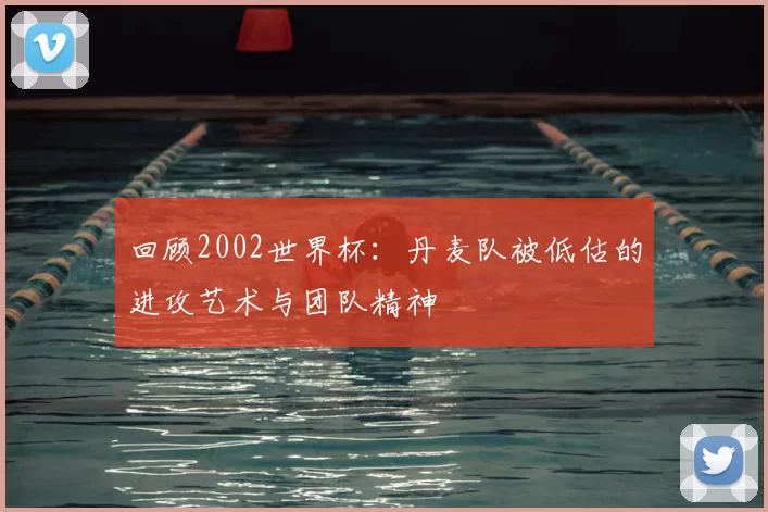 回顾2002世界杯：丹麦队被低估的进攻艺术与团队精神