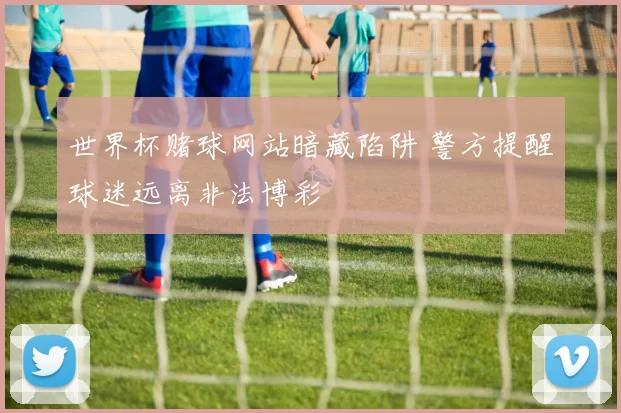 世界杯赌球网站暗藏陷阱 警方提醒球迷远离非法博彩
