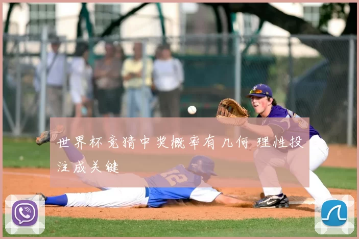 世界杯竞猜中奖概率有几何 理性投注成关键